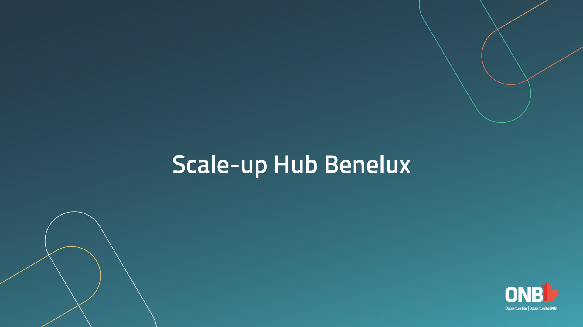 scale up hub benelux